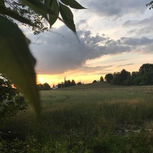 Meet your Posher, Matthew